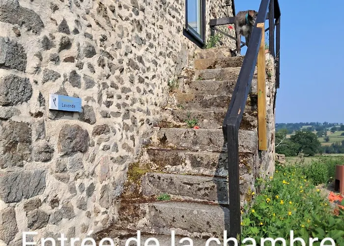 Le Monticule