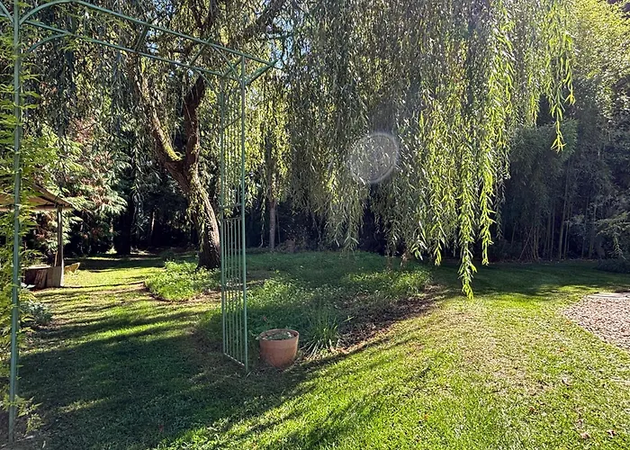 La Haute Trémière